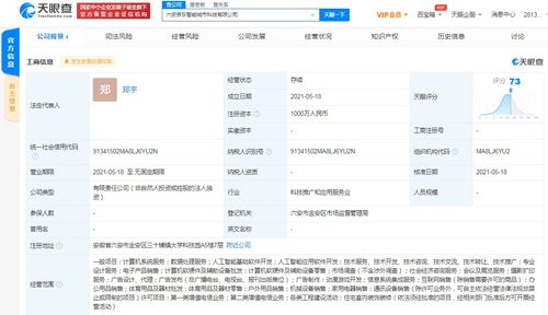京东云计算拓展智能城市版图，新设科技公司布局动漫游戏开发与系统集成
